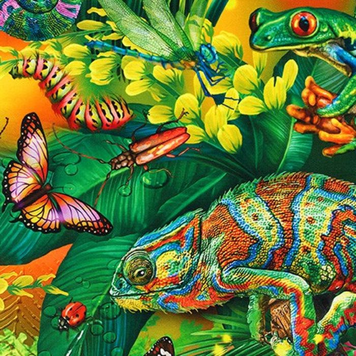 20174 48 JUNGLE 100CO...