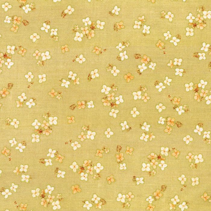 23921 161 STRAW 100CO HELLO...