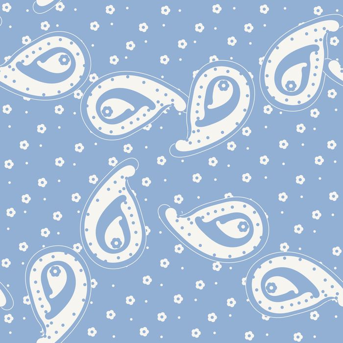 PAISLEY XXL 13 BLEU PASTEL...